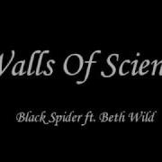 Walls Of Science