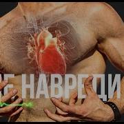 Как Долго Может Вытерпеть Сердце