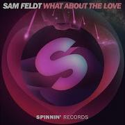 Sam Feldt What About The Love Extended Mix