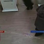 Тихо Спиз Л И Ушел Называется Нашел