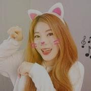 學貓叫 Say Meow Meow Cover By Raon Lee