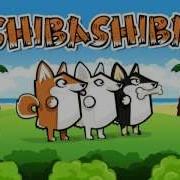 Shibashiba