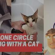 One Circle One Circle One Big Circle Funny Cat