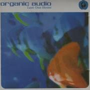 Nurega Organic Audio