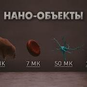 Путешествие В Заквантовый Мир