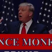 Dance Monkey Tones And I Donald Trump Cover