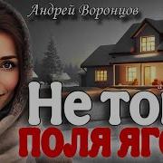 Андрей Воронцов Бракованная Жена Аудиорассказ