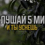 Звук Дождя 1 Минута