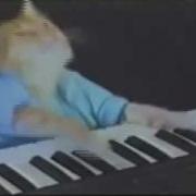 Keyboard Cat 10 Hours