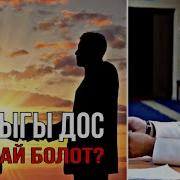 Достук Дил Баян