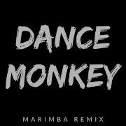 Dance Monkey Marimba Ringtone Remix