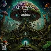 Suliman Infected Mushroom Xperiencex Remix