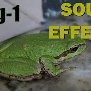 Frog Sound Effect