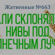 Вдали Склонялись Нивы Под Солнечным Лучом