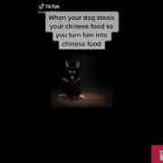 Dancing Rat Tik Tok Meme Complation