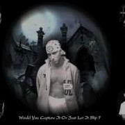 Eminem Wtp White Trash Party Ft Vybz Kartel Official Remix February 2011