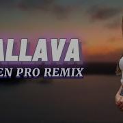 Elsen Pro Tallava