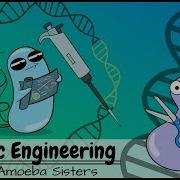 Genetic Engineers