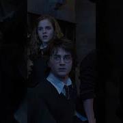 Dumbledore About Goblet Of Fire