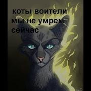 Коты Воители Не Умрём