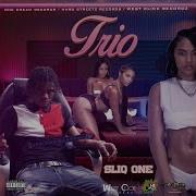 Sliq One Trio