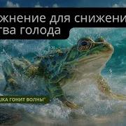 Автономия Упражнение Для Снижения Чувства Голода