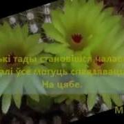 Жыццё Даецца Каб Жыццё Тварыць