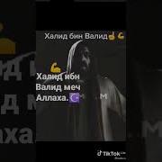 Дар Бораи Халид Ибн Валид