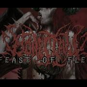 Boneclaw Feast Of Flesh