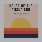 Alex Kislov House Of Rising Sun Feat Arii