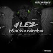 Black Mamba Martin Kremser Remix