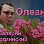 Олеандр Ободзинский Караоке