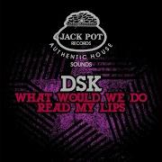 Dsk What Would We Do Acapella