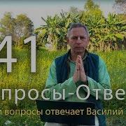 Вопросы Ответы Выпуск 41 Василий Тушкин Отвечает На Ваши Вопросы