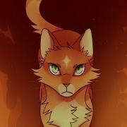 Centuries Warrior Cats Amv Read Desc