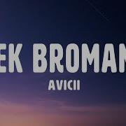 Seek Bromance Avicii