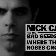 Nick Cave Where The Wild Roses Grow