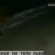 Главное Не Тело Льва А Дух Волка