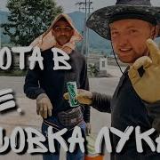 Работа В Корее Лук