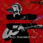 I Will Remember You Ed Sheeran