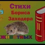 Б Заходер Про Мохнатых И Пернатых
