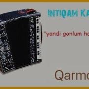 Hasretinle Yandi Gonlum Qarmon