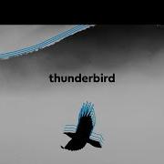 Ooyy Thunderbird