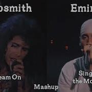 Eminem X Aerosmith Sing For The Moment Dream On Mashup