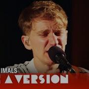 Glass Animals Crazy