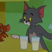 Tom And Jerry Story