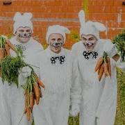 А Филичевой Зайцы И Морковка