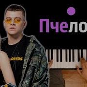 Rasa Пчеловод 2019 Караоке На Пианино Piano Karaoke