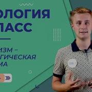 Организм Биологическая Система 5 Класс