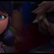 Miraculous Amv Ladybug Cause I Love You For Infinity